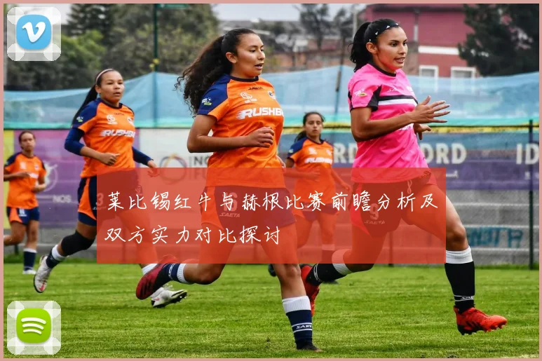 莱比锡红牛与赫根比赛前瞻分析及双方实力对比探讨