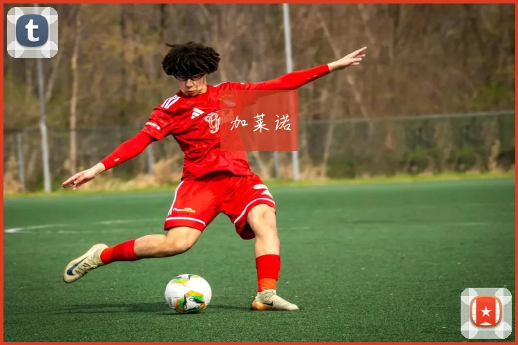 加莱诺