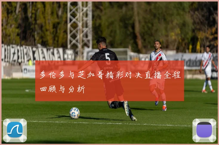 多伦多与芝加哥精彩对决直播全程回顾与分析
