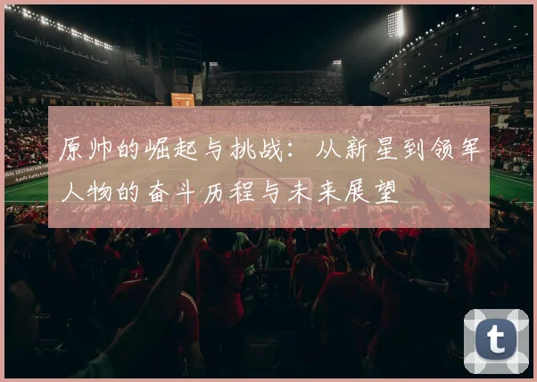 原帅的崛起与挑战：从新星到领军人物的奋斗历程与未来展望