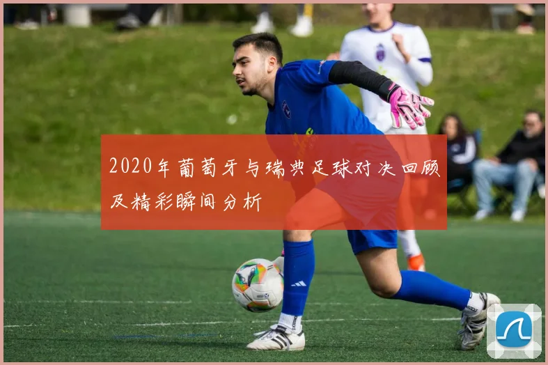 2020年葡萄牙与瑞典足球对决回顾及精彩瞬间分析