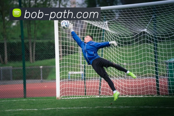 BOB体育平台生态图