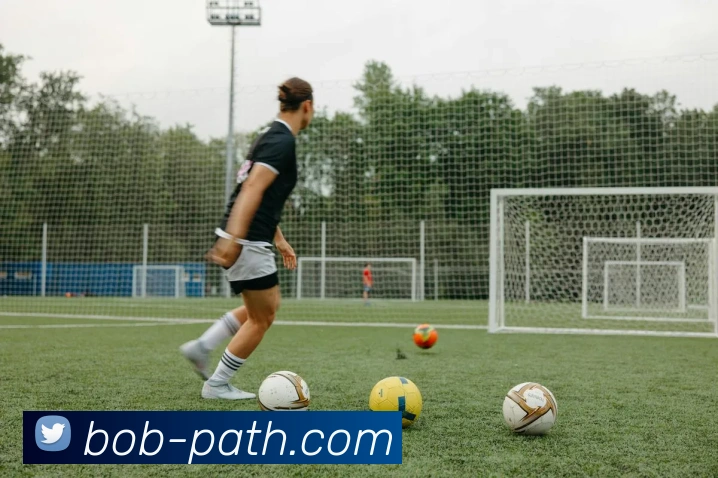 BOB体育APP 封面图